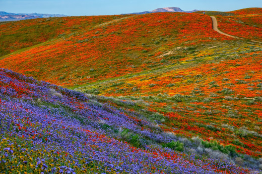 1455418 (a): :2560x1706